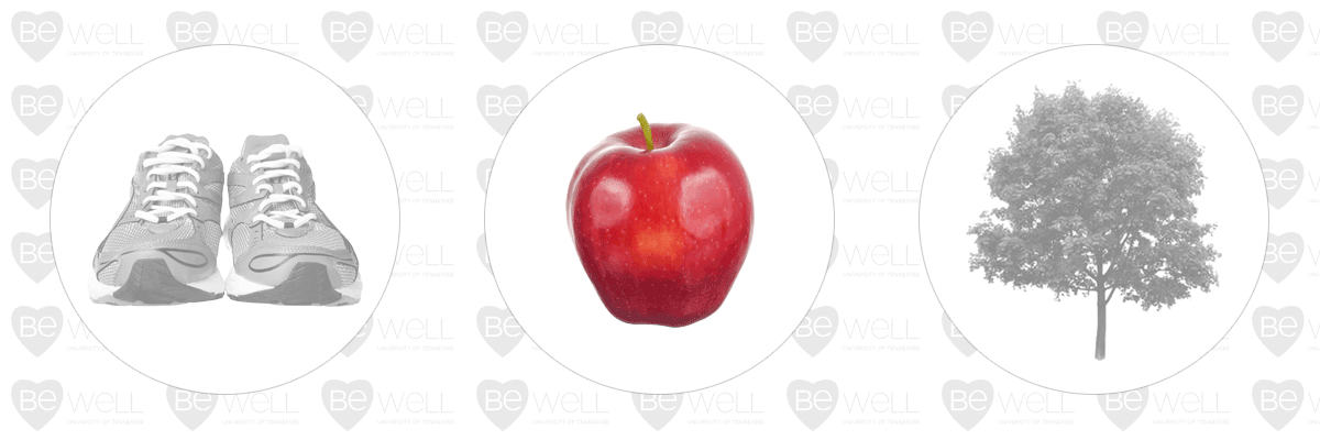 Apple image for nutrition